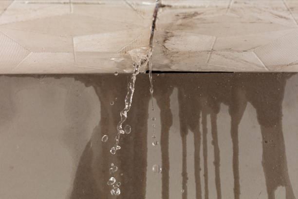 Professional Water Damage Inspection technician working in Elm Grove, WI
